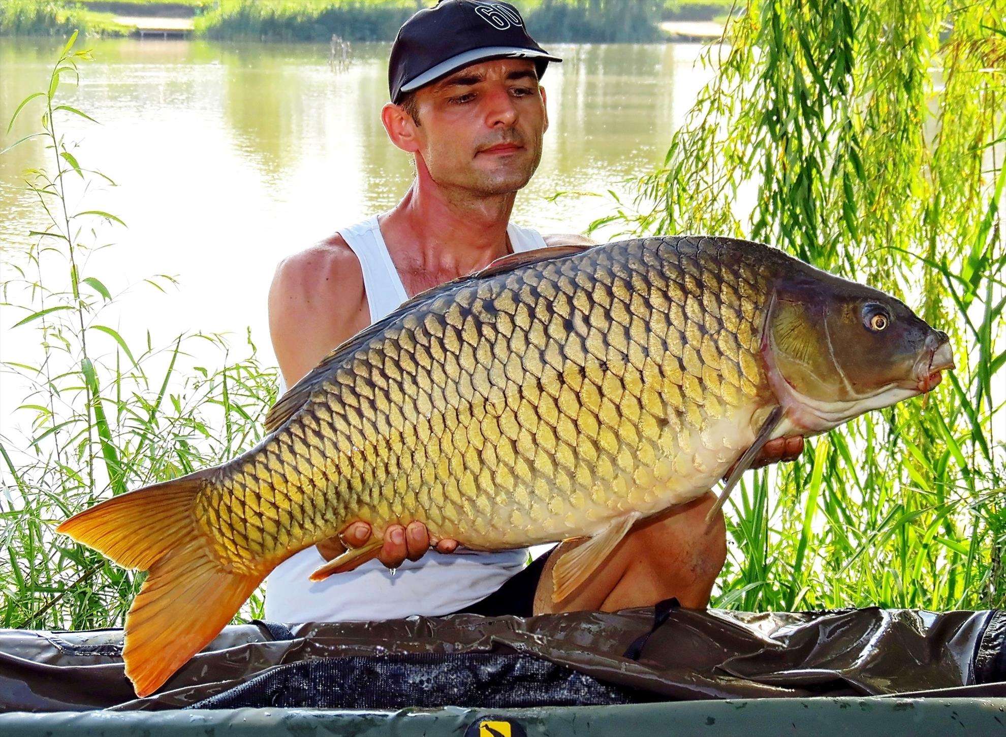 Palici - img5986---1232-kg.JPG